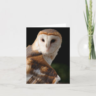 美しいメンフクロウのnotecard カード