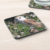 美しいメンフクロウ コースター (左側)