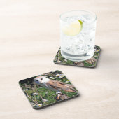 美しいメンフクロウ コースター (右側)