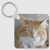 美しいメーヌクーンキッテン写真 キーホルダー (正面)