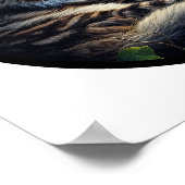 美しいメーヌーンキャットの円形3D画像 ポスター (角)