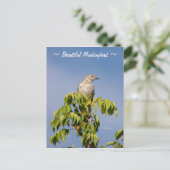 美しいモッキンギ鳥のポストカード ポストカード (スタンド正面)