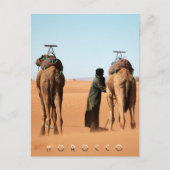 美しいモロッコ砂漠サハララクダ乗馬の旅 ポストカード (正面)
