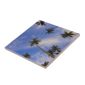 美しいヤシの木の青い空を見上げる タイル (側面)