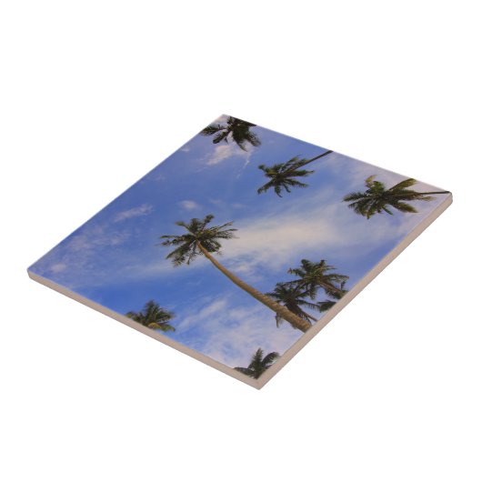 美しいヤシの木の青い空を見上げる タイル (側面)