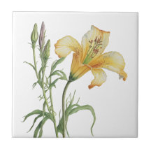 美しいユリヴィンテージ植物陶磁器タイル