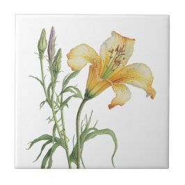 美しいユリヴィンテージ植物陶磁器タイル タイル