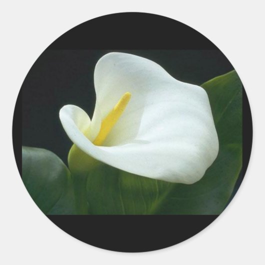 美しいユリ文字/ギフトラウンドステッカー ラウンドシール (正面)