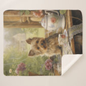 美しいヨークシャーテリア シェルパブランケット (正面(横))