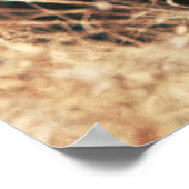 美しいライオン ポスター (角)