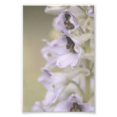 美しいライトパープルフラワーズフローラ フォトプリント (正面)