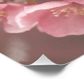 美しいライトピンクの花の花びらフローラポスター ポスター (コーナー)