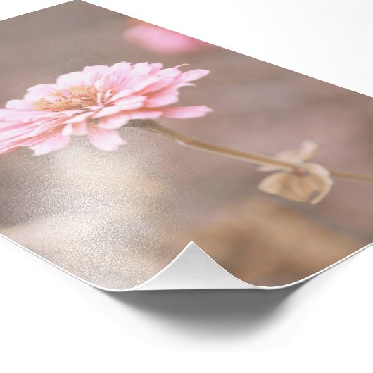 美しいライトピンクの花の花フローラ フォトプリント (角)