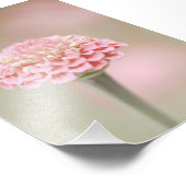 美しいライトピンクの花の花フローラ フォトプリント (角)