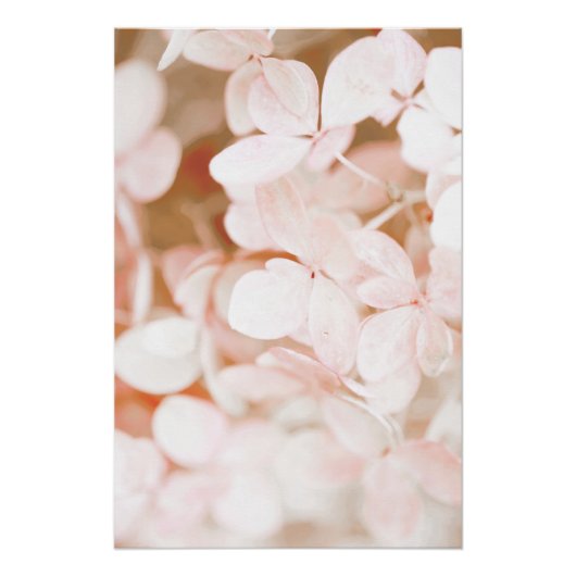 美しいライトピンクの花の花フローラ ポスター (正面)