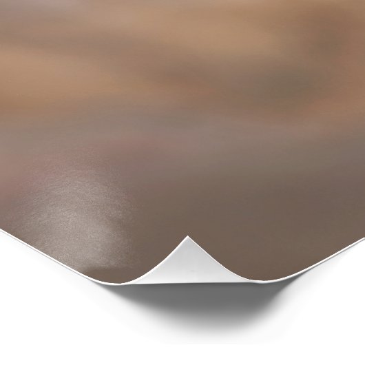 美しいライトピンクの花の花フローラ ポスター (コーナー)