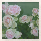 美しいライトピンクガーデンバラ ガラスコースター (正面)