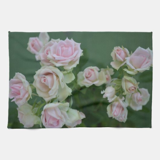 美しいライトピンクガーデンバラ キッチンタオル (横)