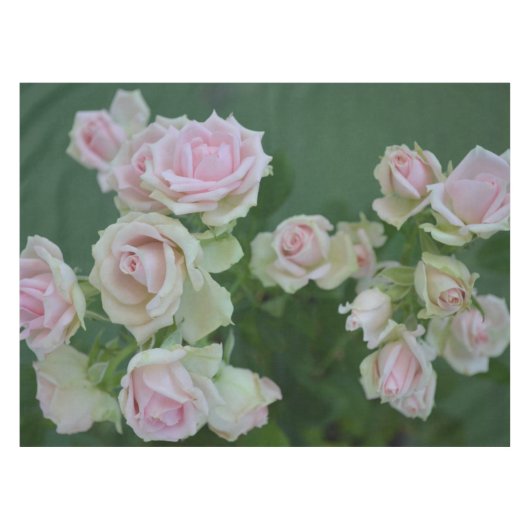 美しいライトピンクガーデンバラ テーブルクロス (正面(横))