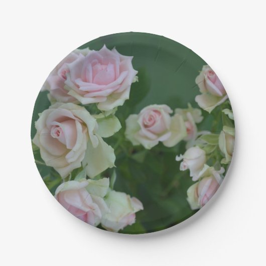 美しいライトピンクガーデンバラ ペーパープレート (正面)