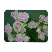 美しいライトピンクガーデンバラ マグネット (横)