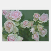 美しいライトピンクガーデンバラ ラッピングペーパーシート (正面)