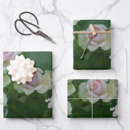 美しいライトピンクガーデンバラ ラッピングペーパーシート