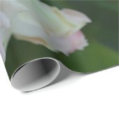 美しいライトピンクガーデンバラ ラッピングペーパー (ロールコーナー)