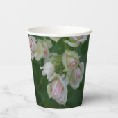 美しいライトピンクガーデンバラ 紙コップ (裏面)