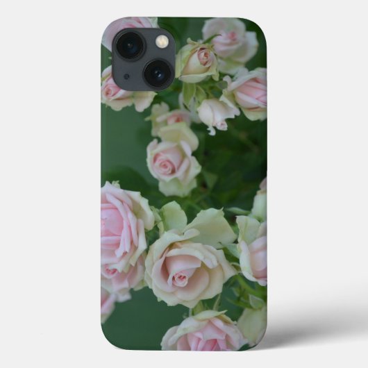 美しいライトピンクガーデンバラ Case-Mate iPhoneケース (裏面)