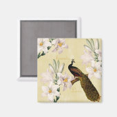 美しいライピーコック マグネット (正面/裏面)