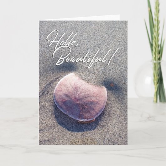 美しいライブサンドダラー写真グリーティングカード サンキューカード (正面)