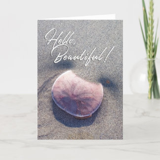 美しいライブサンドダラー写真グリーティングカード サンキューカード