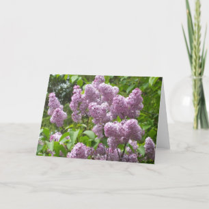 美しいライラックの空白のなノートのカード花柄の写真 カード
