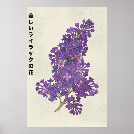 美しいライラックの花 ポスター (正面)