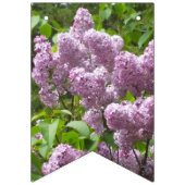 美しいライラック バンティングフラッグ (第2の旗)