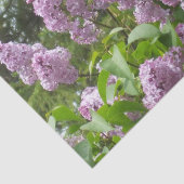 美しいライラック 薄葉紙 (詳細)