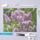 美しいライラック 薄葉紙 (クラフト)