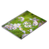 美しいラインノートブック ノートブック (左側)