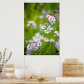 美しいラインポスター ポスター (キッチン)