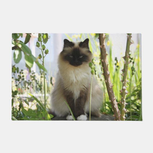 美しいラグドール ドアマット (正面)