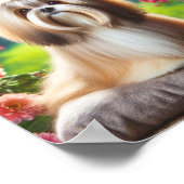 美しいラサアプソ ポスター (角)