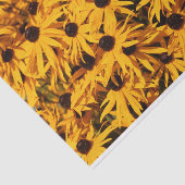 美しいラッドベキアズイエローコンフォレア 薄葉紙 (詳細)