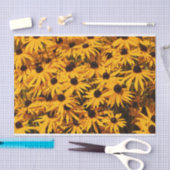 美しいラッドベキアズイエローコンフォレア 薄葉紙 (クラフト)