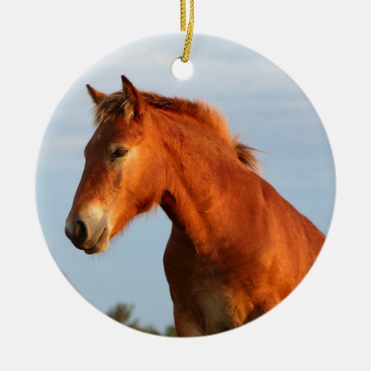 美しいラバ セラミックオーナメント (正面)