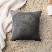 美しいラブラドールレトリバー クッション (ブランケット)