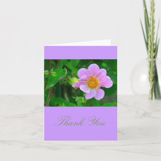 美しいラベンダーピンクアネモン カード (正面)