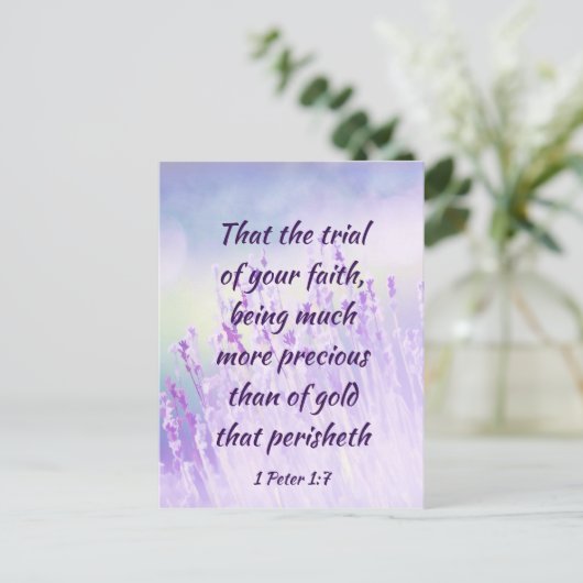 美しいラベンダーフラワーフィールドバイブル聖なる書物、 経典 ポストカード (スタンド正面)