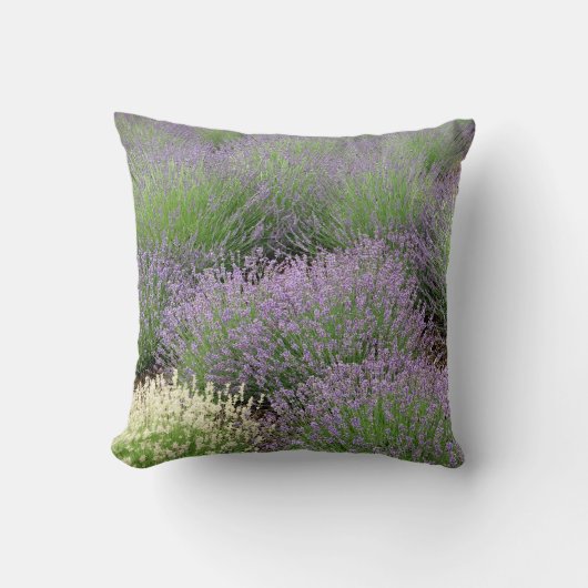 美しいラベンダー クッション (正面)