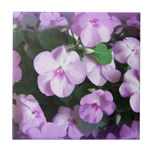 美しいラベンダーImpatiens タイル (正面)
